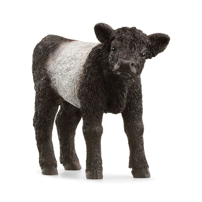 Schleich 13969 Galloway Kalb