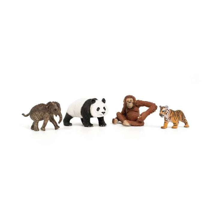 Schleich 42736 Wild Life "Asia" 스타터 세트