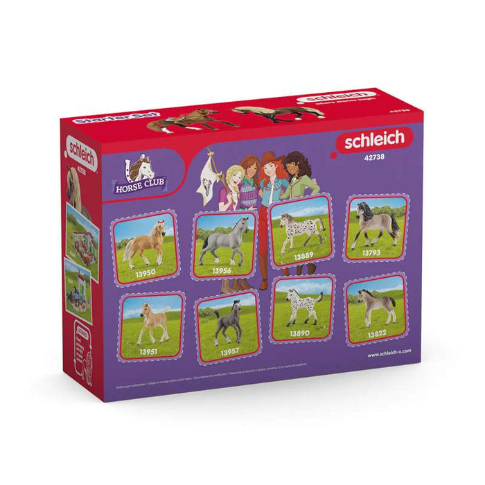 Schleich 42738 Horse Club "Paso Peruano" Starter-Set