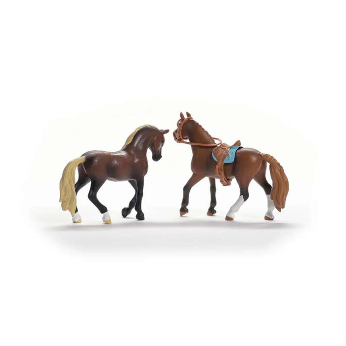 Schleich 42738 Horse Club "Paso Peruano" Starter-Set