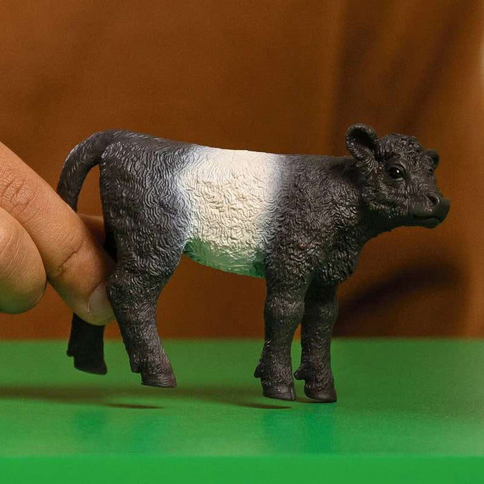 Schleich 13969 Galloway Kalb