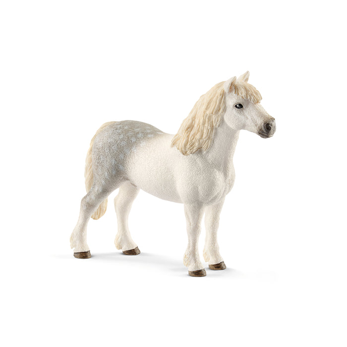 Schleich 13871 Welsh Pony Stallion