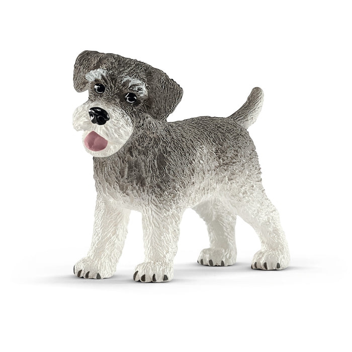 Schleich 13892 Zwergschnauzer