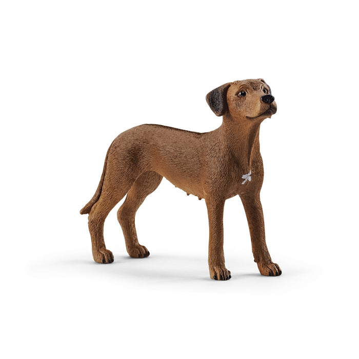 Schleich 13895 Rhodesian Ridgeback