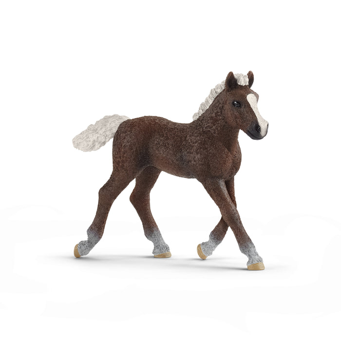 Schleich 13899 Poulain Forêt Noire