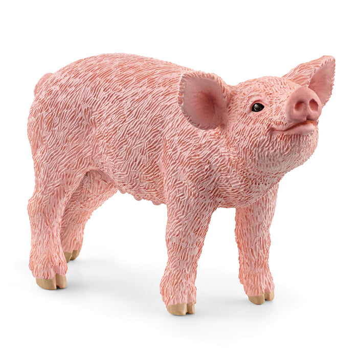 Schleich 13934 새끼 돼지