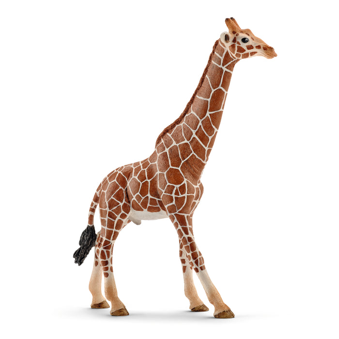 Schleich 14749 황소 기린