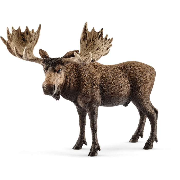 Schleich 14781 moose bull