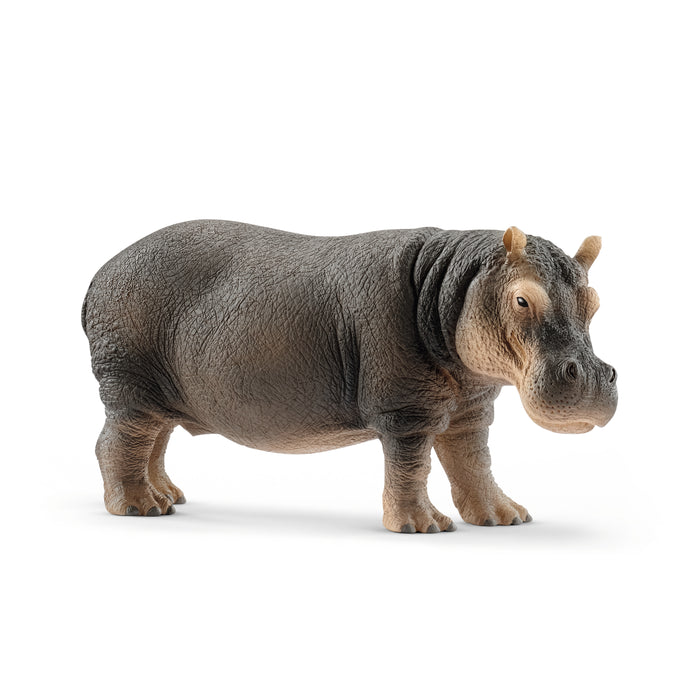Schleich 14814 Hippo