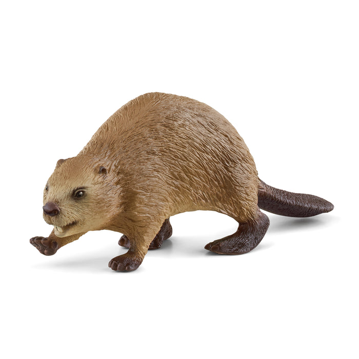 Schleich 14855 Beaver